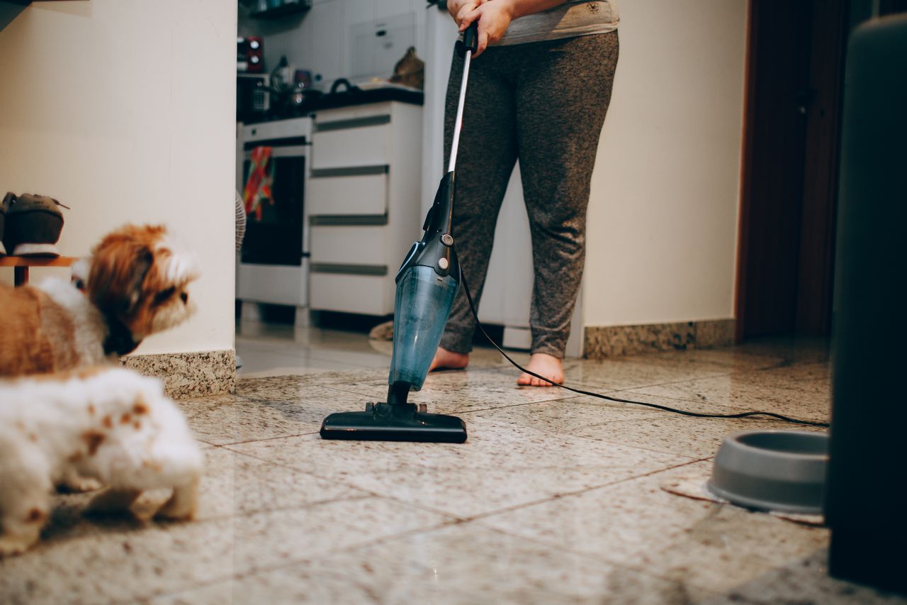 A woman vacuuming the floor while a dog looks on with interest. Indoor home setting.